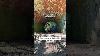 Ever been in a relationship like this? #harmonies #acapella #brotherswhosing #newmusicrelease