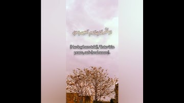 آيات من سورة الحجر.... بصوت القارئ هزاع البلوشي.... حالات واتس آب.