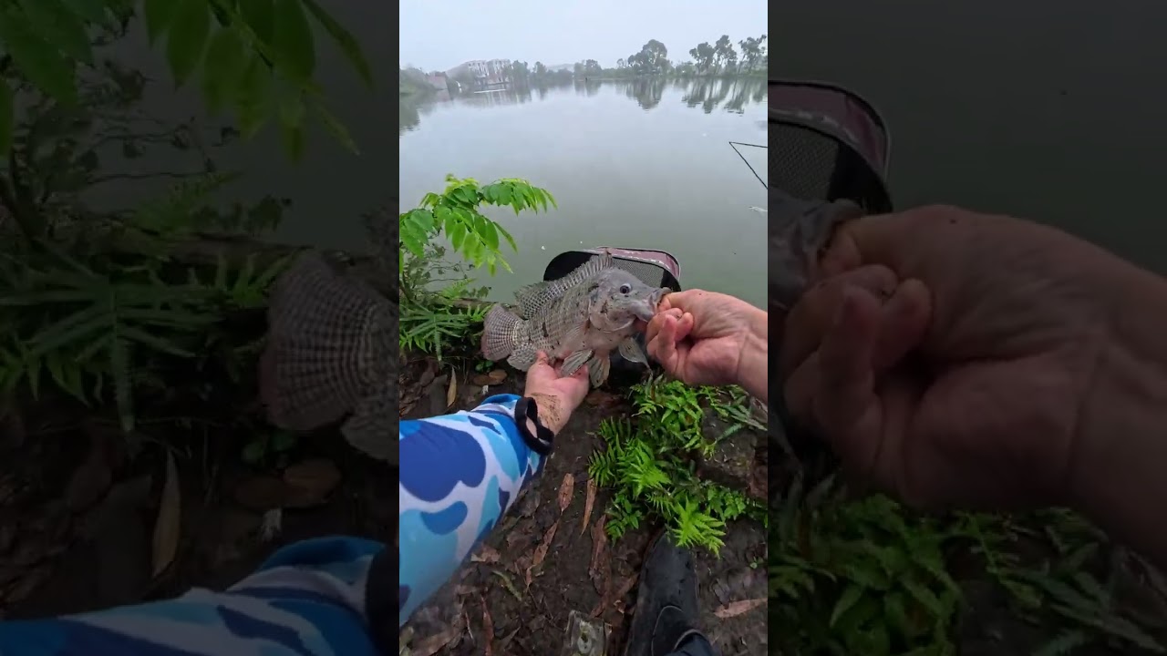 Câu đài hồ câu Lục - Vạn An, Bắc Ninh