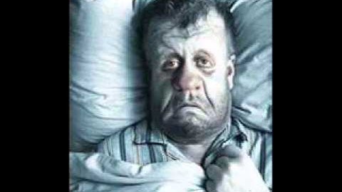 The Minnesota Song - Dan Adler