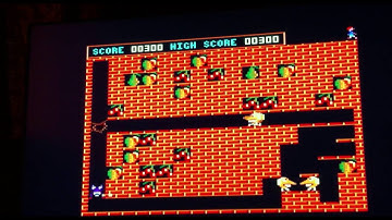 Amstrad CPC - Fruity Frank