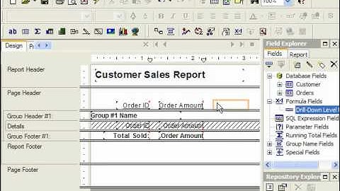 Crystal Reports Tutorial Using the DrillDownGroupLevel Feature Business Objects Training Lesson 11.2
