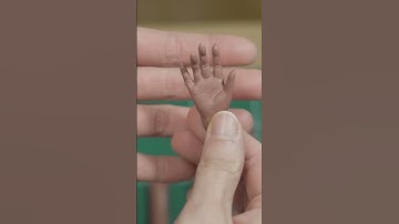 [Making BJD prototype] Hand🤚Sculpting with oil-based clay #bjd #sculpting #balljointeddolls