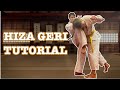 Hiza geri knee strikes  technique and setups  full contact karate