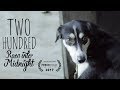 Two hundred race into midnight a short film by loren earle