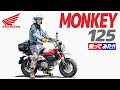 HONDA モンキー125 乗ってみた!【モトブログ】HONDA MONKEY 125 Motorcycle review in Japan #ツーリング #モトブログ #バイク