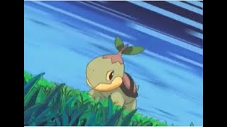 Turtwig's Cute Moments