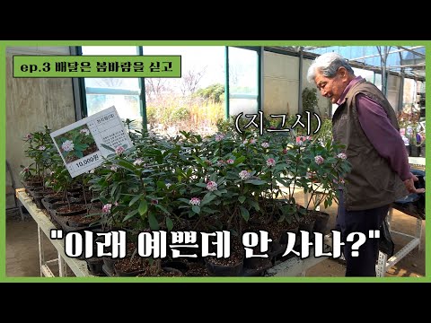 [소소한 만능배달꾼] ep.3 배달은 봄바람을 싣고~