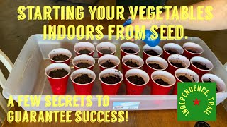 Starting your plants from seeds. A few secrets to guarantee success.