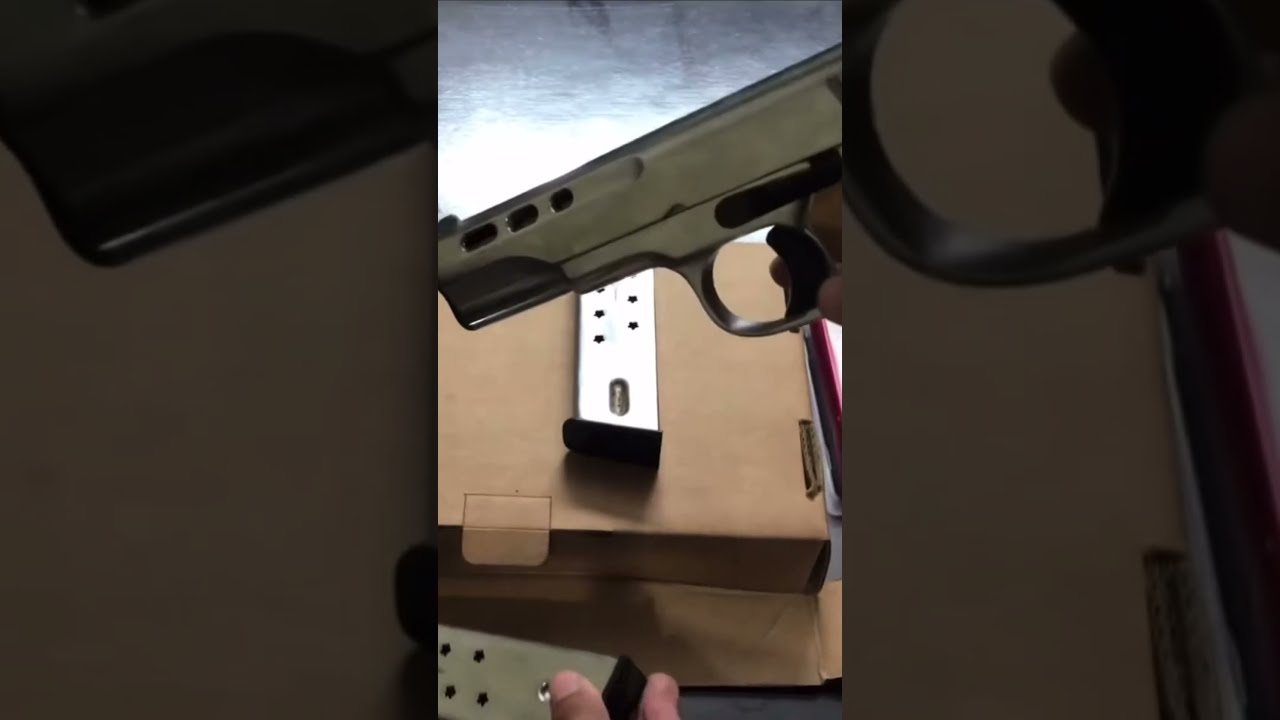 DESERT SCORPION 20 SHOT 30 BORE PISTOL GUN 