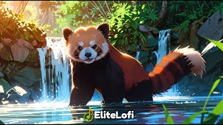 Jungle Panda Lofi #music #viral #lofi #eliteLofi