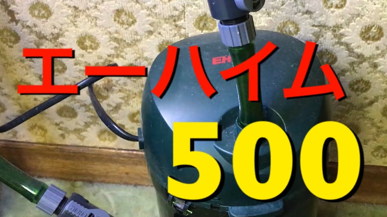 アクアリウム 外部フィルター エーハイム500メンテナンス エーハイム Youtube