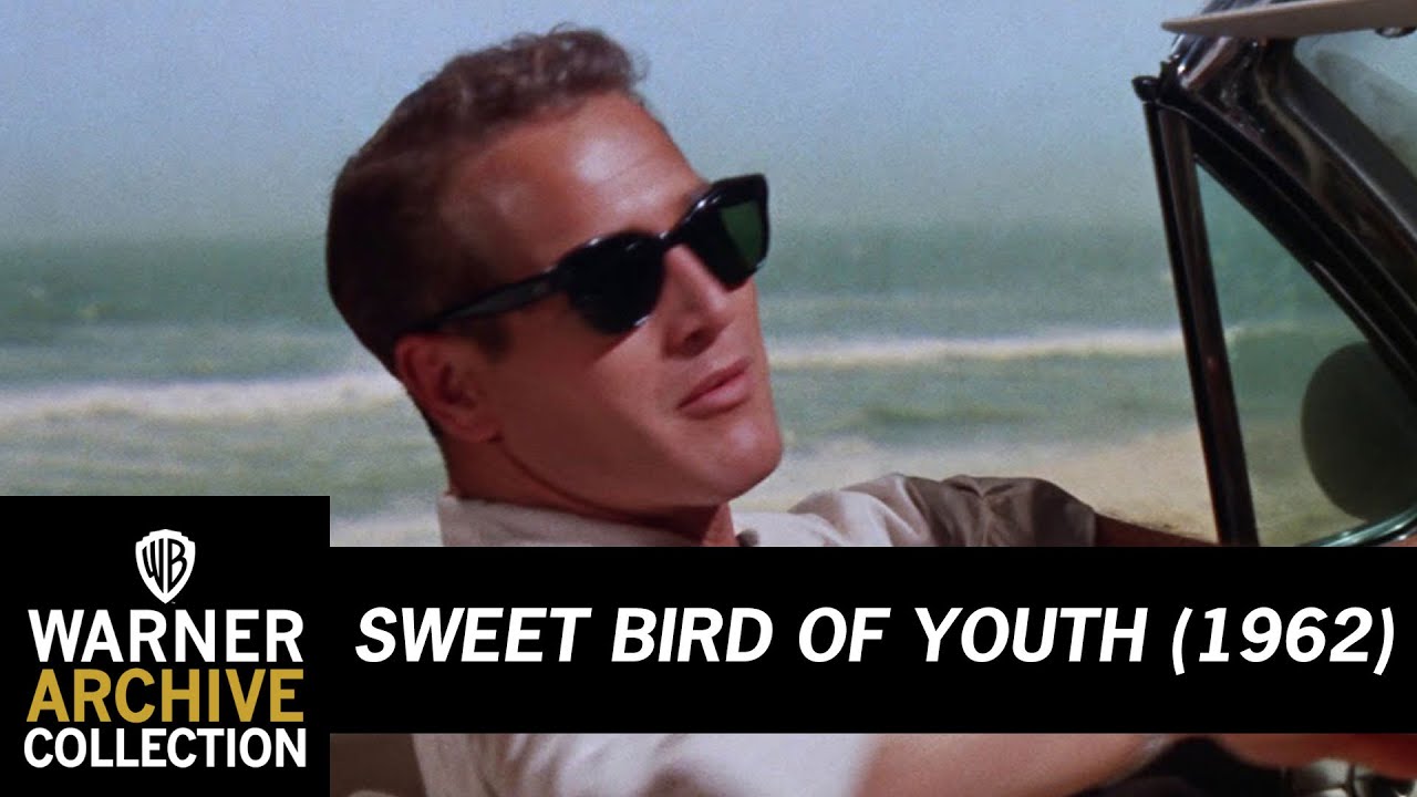 Open HD Sweet Bird of Youth Warner Archive YouTube