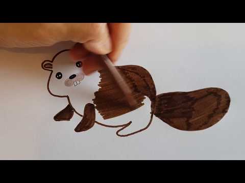 Vídeo: Como Desenhar Um Castor