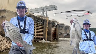 Fishing The Ohio River For Hybrid Striped Bass. Rapala PXR Maverick 110. Racine Locks and Dams.