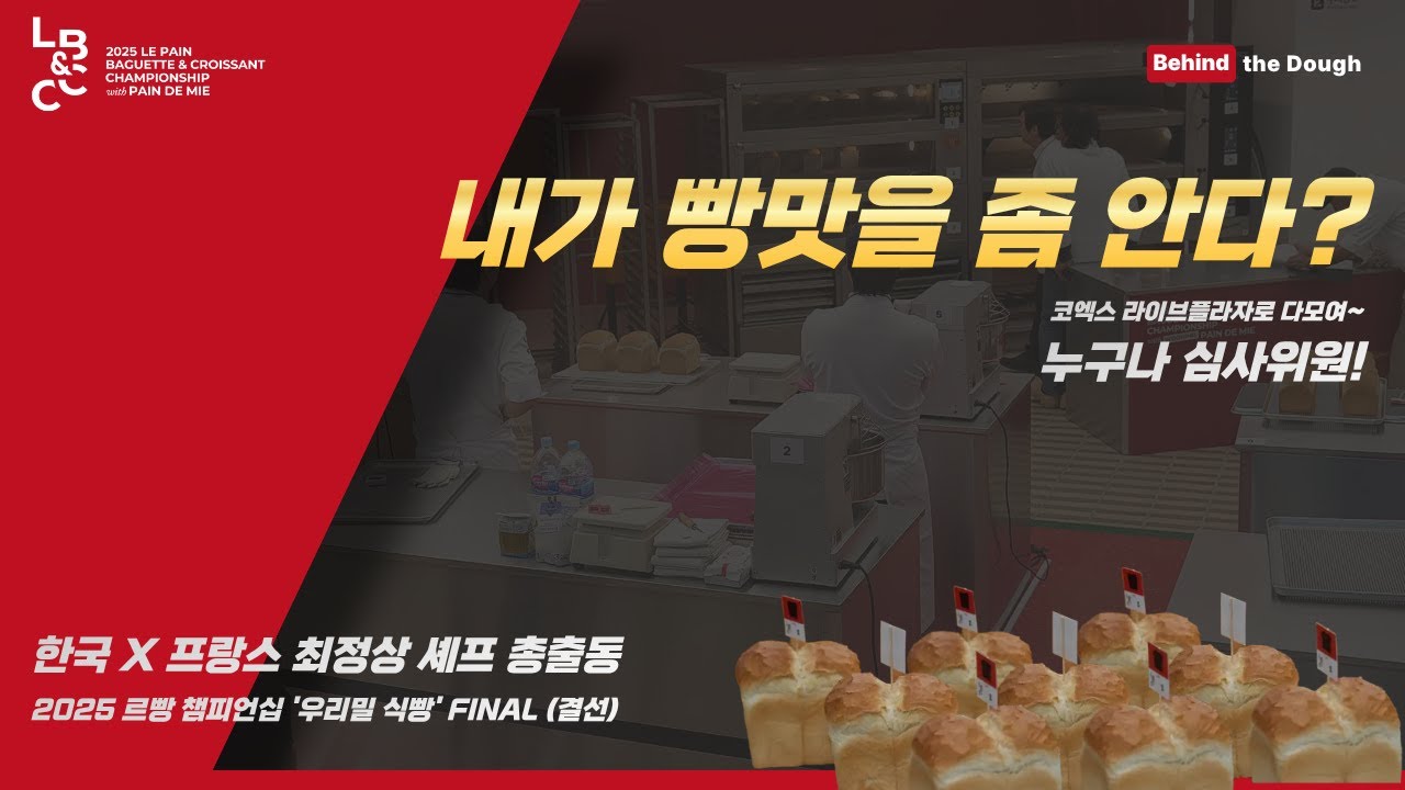 🍞 2025르빵 챔피언십 우리밀 식빵 결선 현장스케치 (1,2,3등 모두 이 인터뷰에서 나왔네요 소오름..)