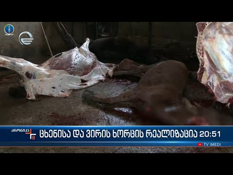 ცხენისა და ვირის ხორცის რეალიზაცია