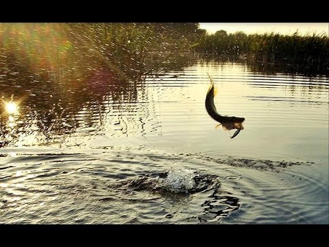 Вот почему ты не ловишь щуку...2 главных секрета ловли щуки осенью!