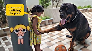 Cute baby angry on her dog | try not to laugh | #dog #rottweiler