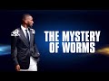 The Mystery of Worms || Prophet Passion Java