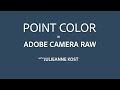 Everything You Need to Know About Point Color in Adobe Camera Raw
