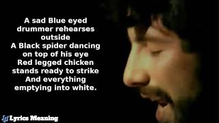 Video thumbnail of "Cat Stevens -  Into White | Lyrics Meaning"