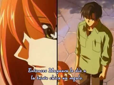 El libro de una hitoria personal....