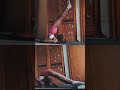 Art💗 #flexibility #gostretchyourself