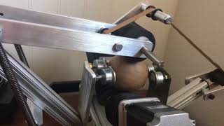 Wasp hornet shell pasting