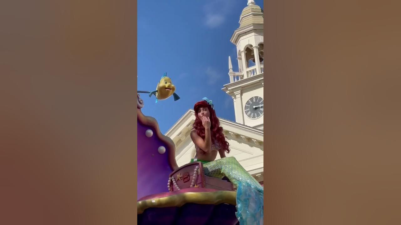 Ariel & Flounder from the Little Mermaid