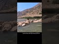 حملته أمه كرها ووضعته كرها القرآن اجعله رفيقك للچنة استمع ولى ولك الاجر انشاءالله