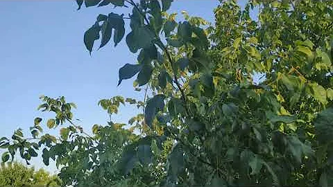 Народные приметы про одежду. Народные приметы и поверья