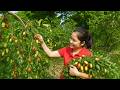 Vietnamese Mini Apples🍎Cannot Be Harvest With Tools🏃Goes to market sell💪Build Home With Palm Leaves