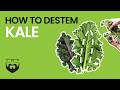 How to De-Stem Kale