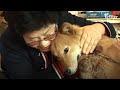 Dog Orphaned In Early Age Misses Warm Hugs From His Mom | Kritter Klub