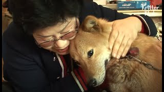 Dog Orphaned In Early Age Misses Warm Hugs From His Mom | Kritter Klub