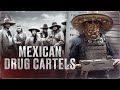 From the small gangs of the 19th century to the cartels of today  mexican drug cartels