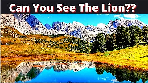 FIND THE HIDDEN ANIMALS (HARD CHALLENGE)