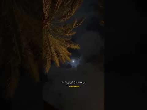 زي الليلة دي