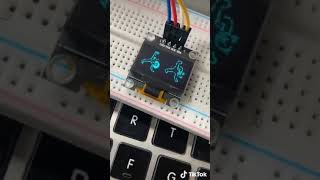 Embedded System #5 : GIF on OLED