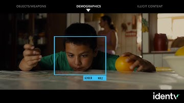 IDenTV Sample of AI Video Classifiers
