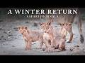 Safari Journals Mapungubwe National Park Winter Safari Journals Mapungubwe National Park Winter