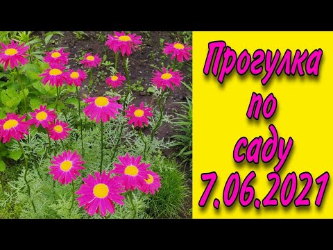 Прогулка по саду