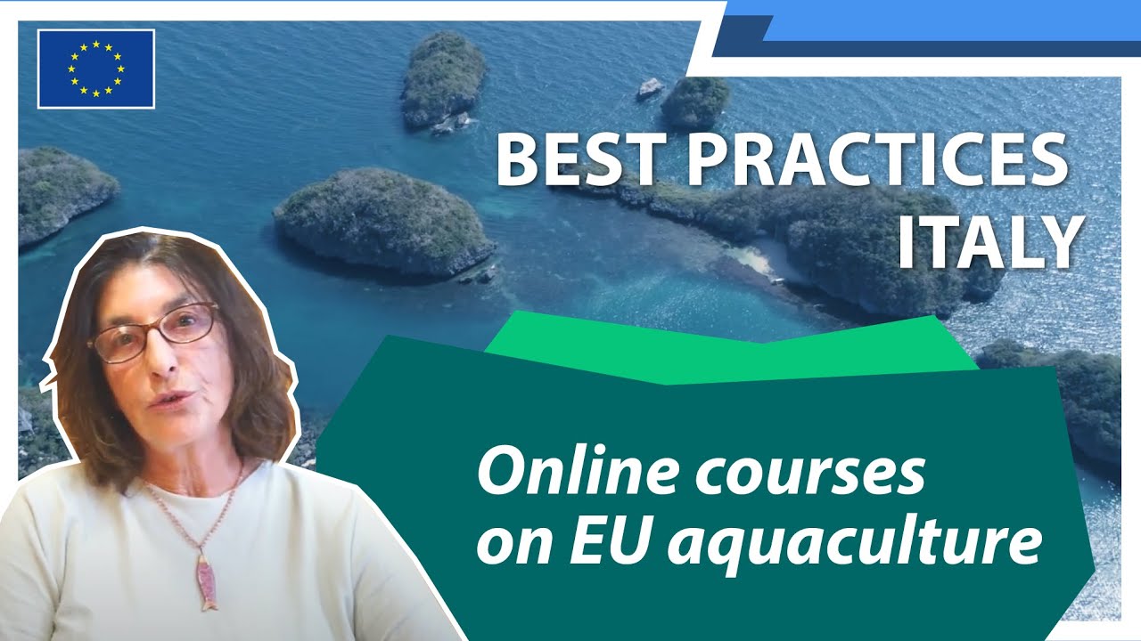 Italy is making marine farming more efficient and sustainable (ep.1)