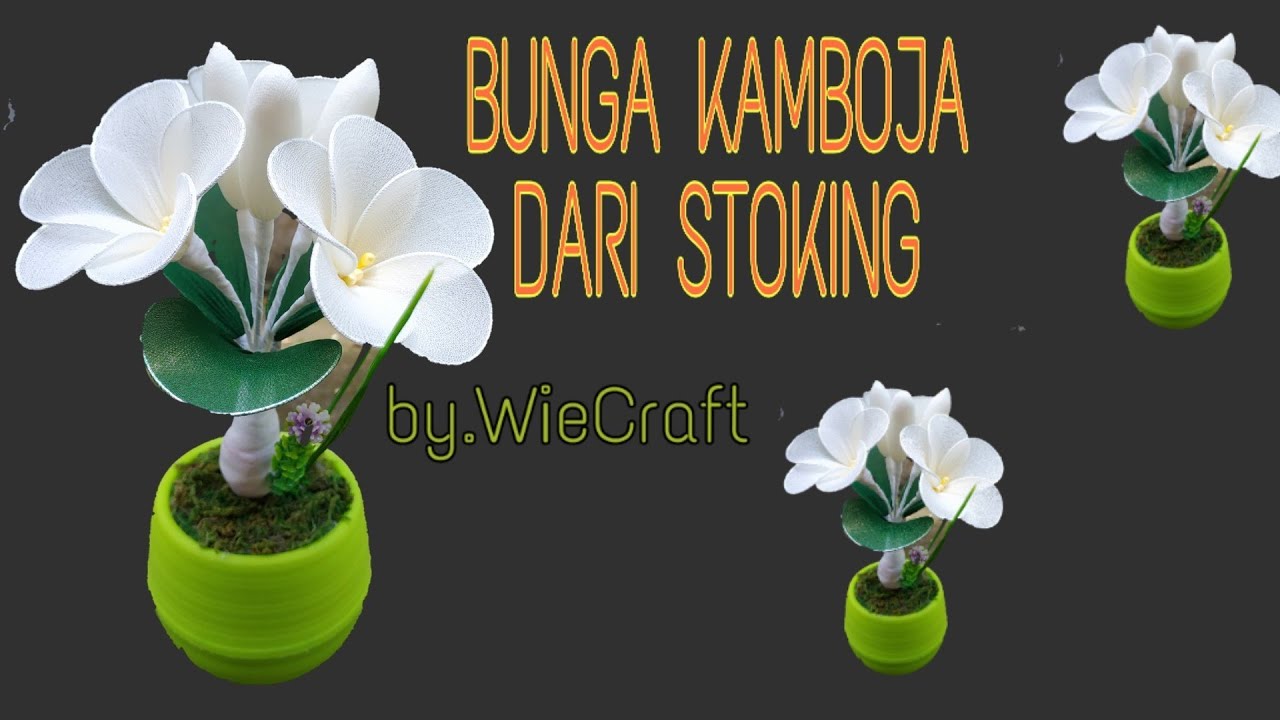 Cara Membuat Kamboja Dari Stoking Youtube Stoking Kamboja Bunga