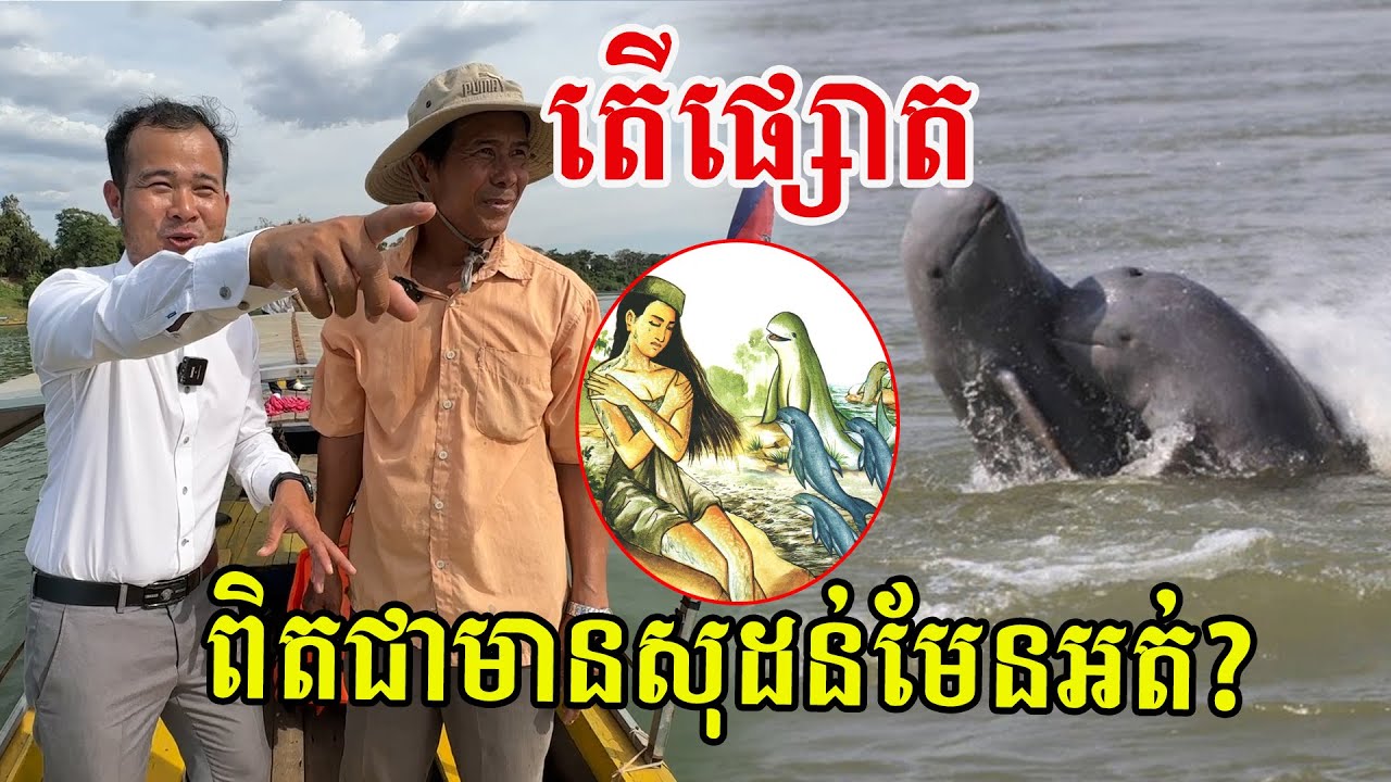 ចាស់ៗតំណាលថា ផ្សោតកើតពីមនុស្សស្រី ហេតុអ្វីបានជាគាត់ថាបែបនេះ?