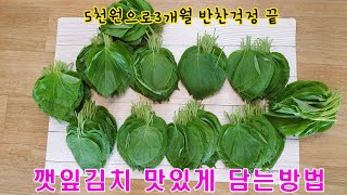 이제 그만 생깻잎에 양념 바르지 마세요/오래 두고 먹어도 파랗고 부드럽고 맛있어요