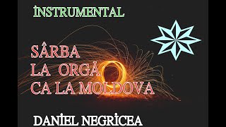 █▬█ █ ▀█▀  2023 . SARBA MOLDOVENILOR . DANIEL NEGRICEA [DOMN PROFESOR DANCIU ]