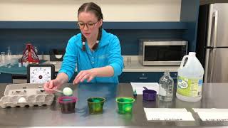 STEM Experiment - The Science of Coloring Eggs