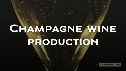Champagne Production